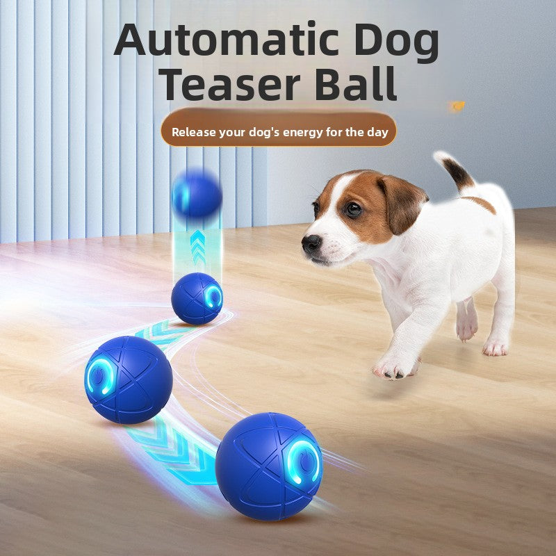 Interactive Pet Jumping Ball