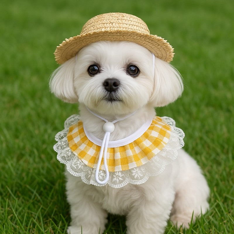 Porch Goose Pet Costume Hat and Bandana Set