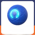Interactive Pet Jumping Ball